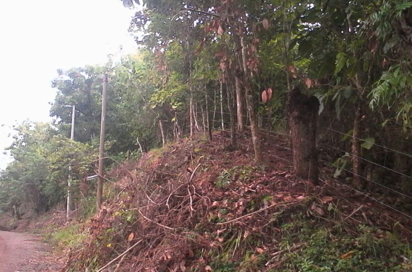 Development LandFarms and Ranches for sale in Puriscal Costa Rica