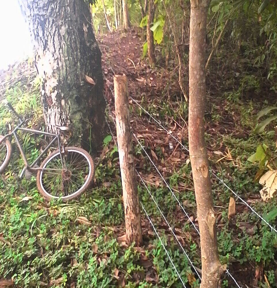 Development LandFarms and Ranches for sale in Puriscal Costa Rica