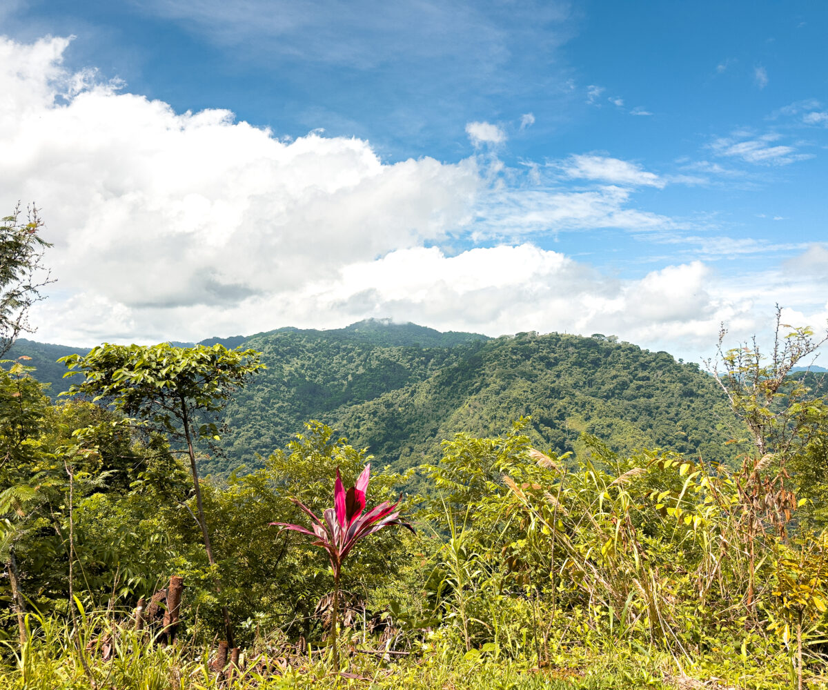 Homes for sale in Tarcoles Costa Rica