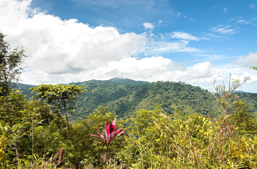 Homes for sale in Tarcoles Costa Rica