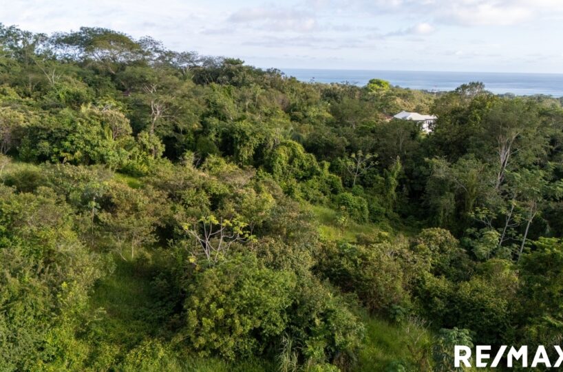 Building Lots for sale in Esterillos Costa Rica