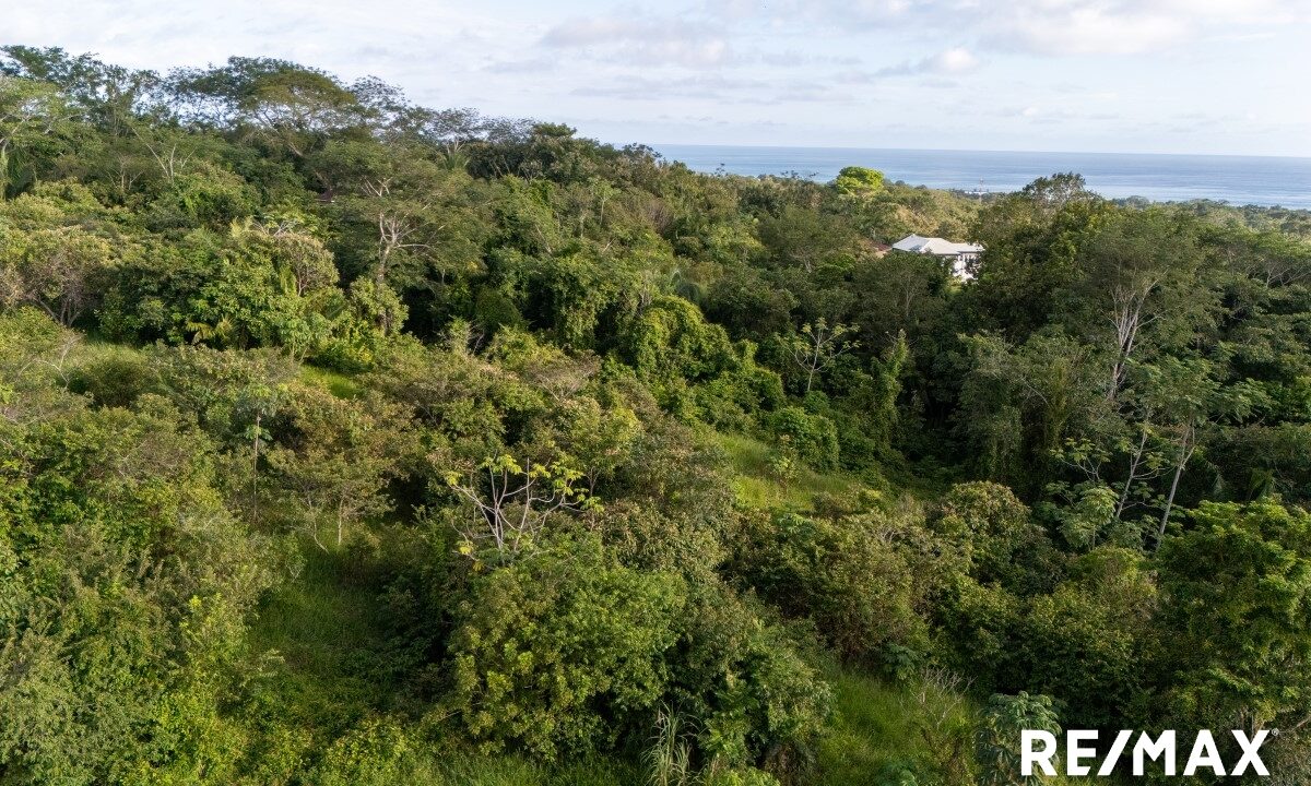 Building Lots for sale in Esterillos Costa Rica