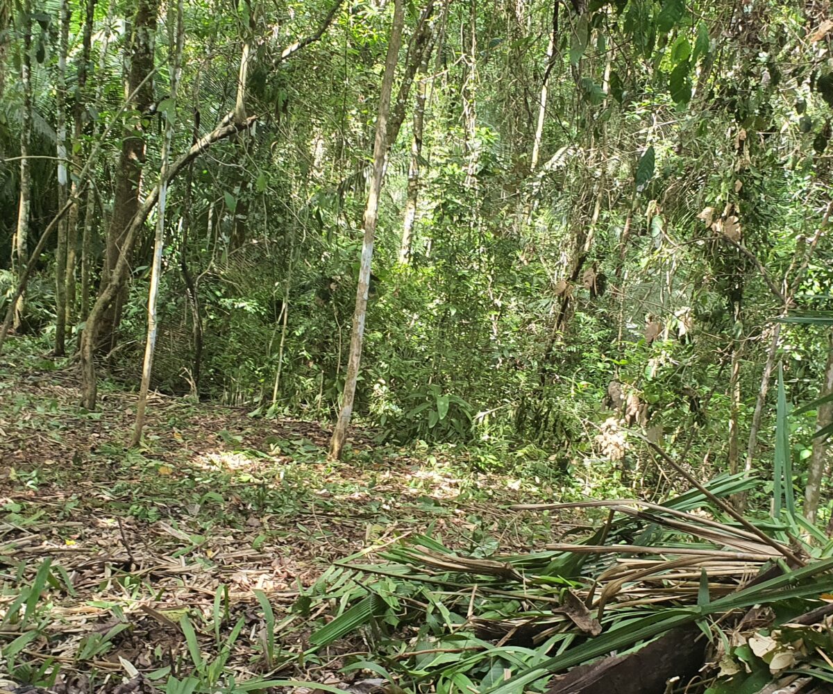 Building Lots for sale in Esterillos Costa Rica