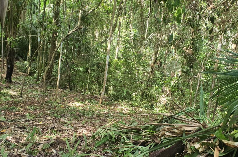 Building Lots for sale in Esterillos Costa Rica