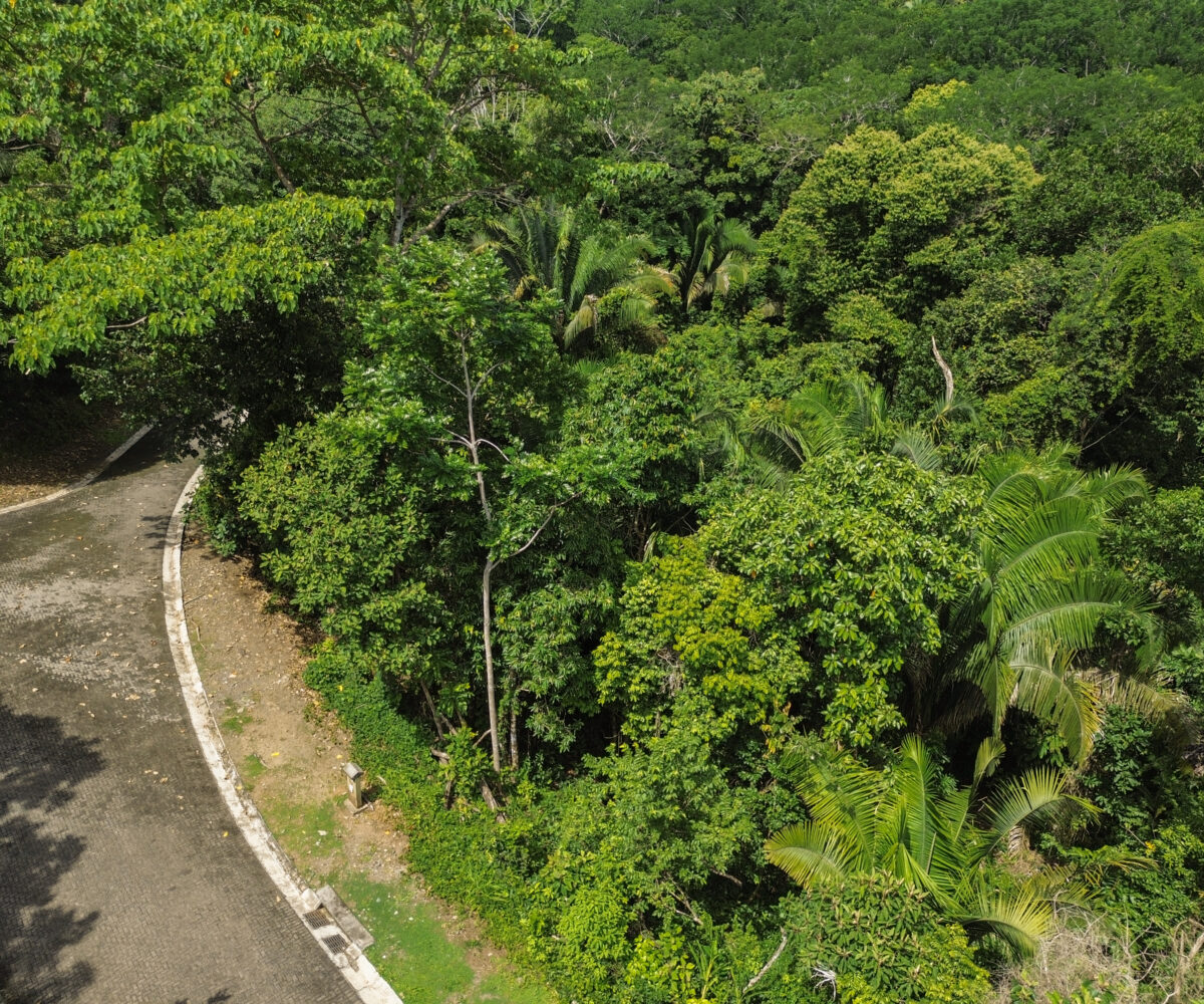 Building Lots for sale in Esterillos Costa Rica