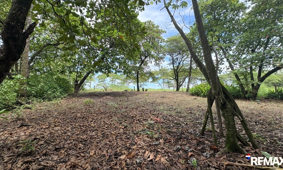 Building Lots for sale in Parrita Costa Rica