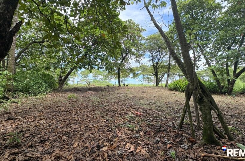 Building Lots for sale in Parrita Costa Rica