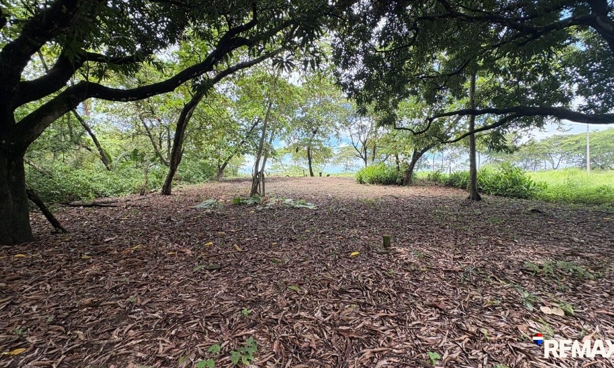 Building Lots for sale in Parrita Costa Rica