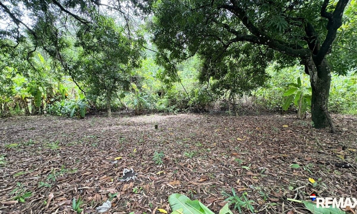 Building Lots for sale in Parrita Costa Rica