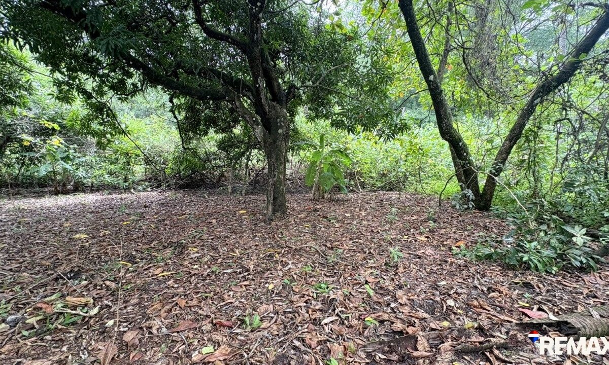 Building Lots for sale in Parrita Costa Rica