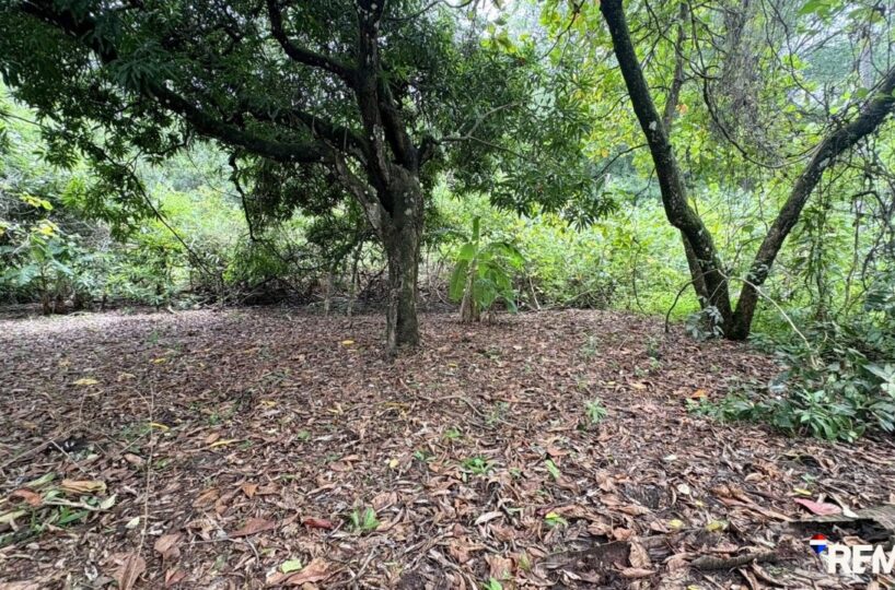 Building Lots for sale in Parrita Costa Rica