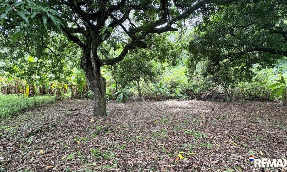 Building Lots for sale in Parrita Costa Rica