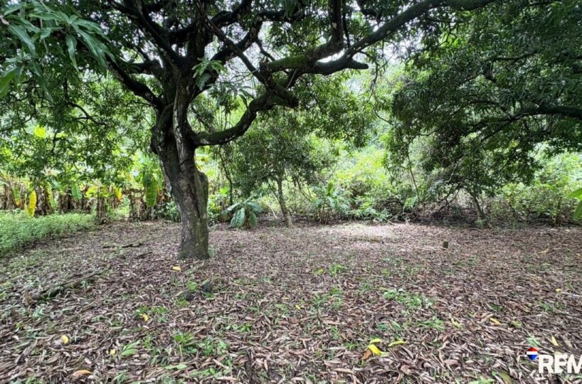 Building Lots for sale in Parrita Costa Rica