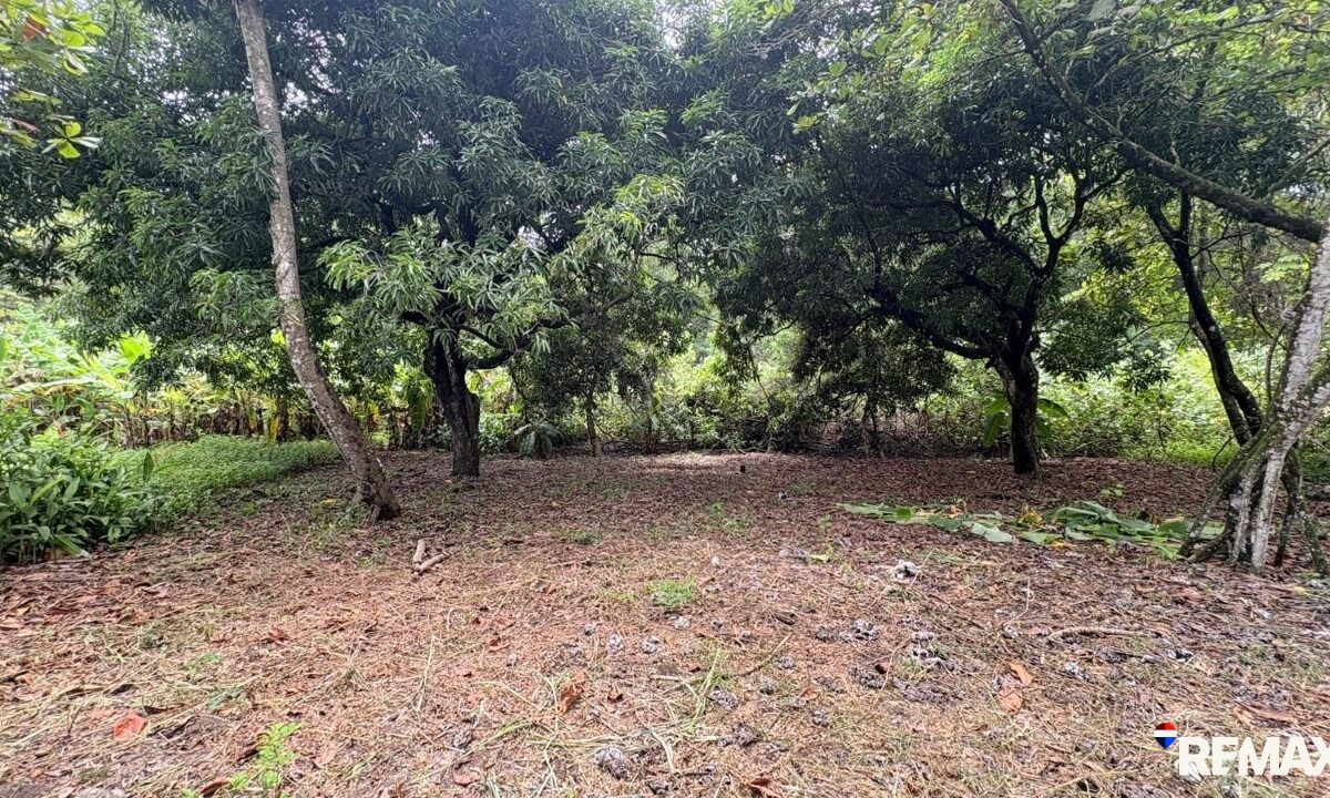 Building Lots for sale in Parrita Costa Rica