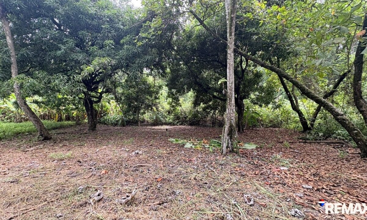 Building Lots for sale in Parrita Costa Rica