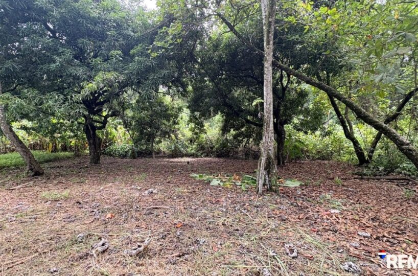 Building Lots for sale in Parrita Costa Rica