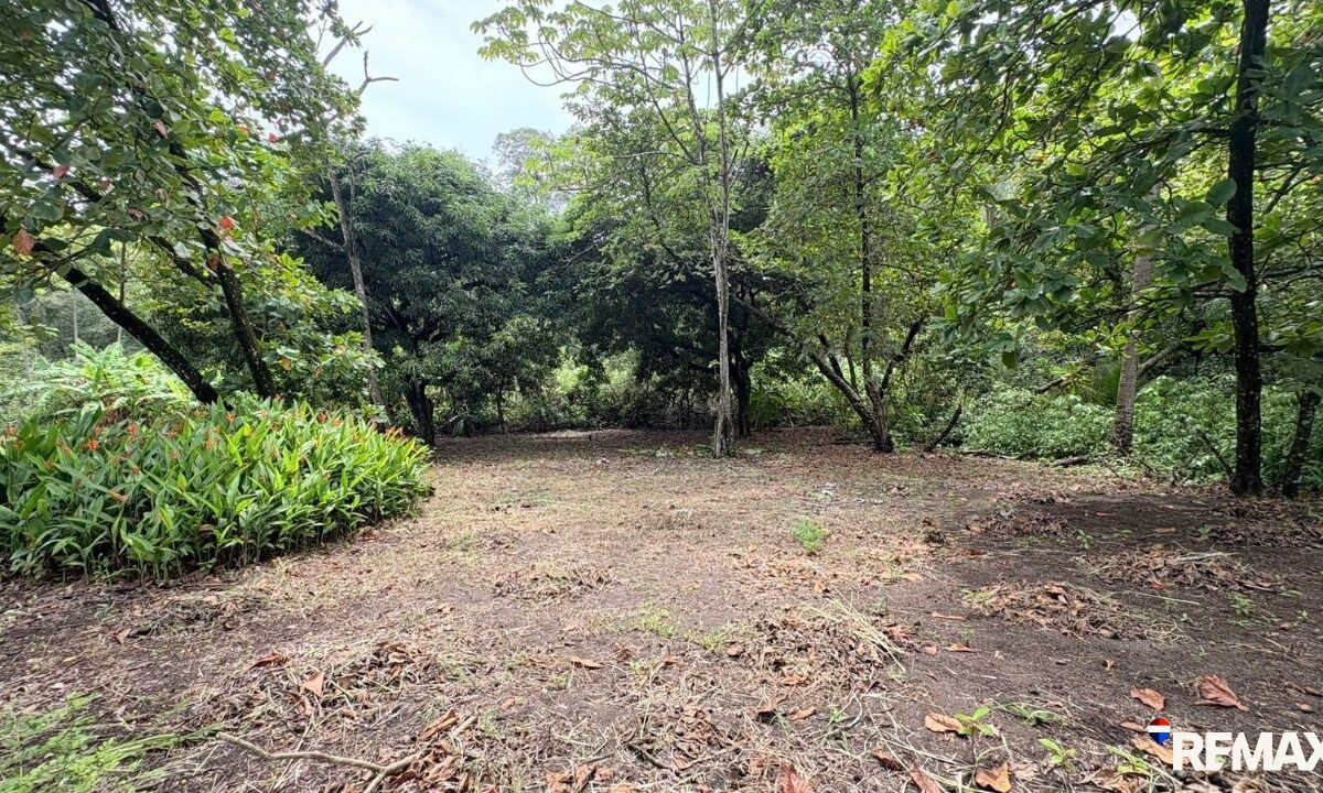 Building Lots for sale in Parrita Costa Rica