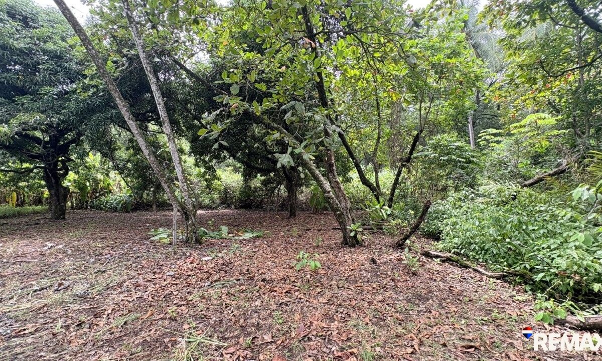 Building Lots for sale in Parrita Costa Rica