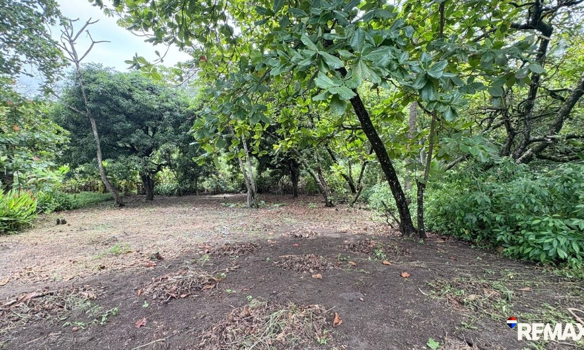 Building Lots for sale in Parrita Costa Rica