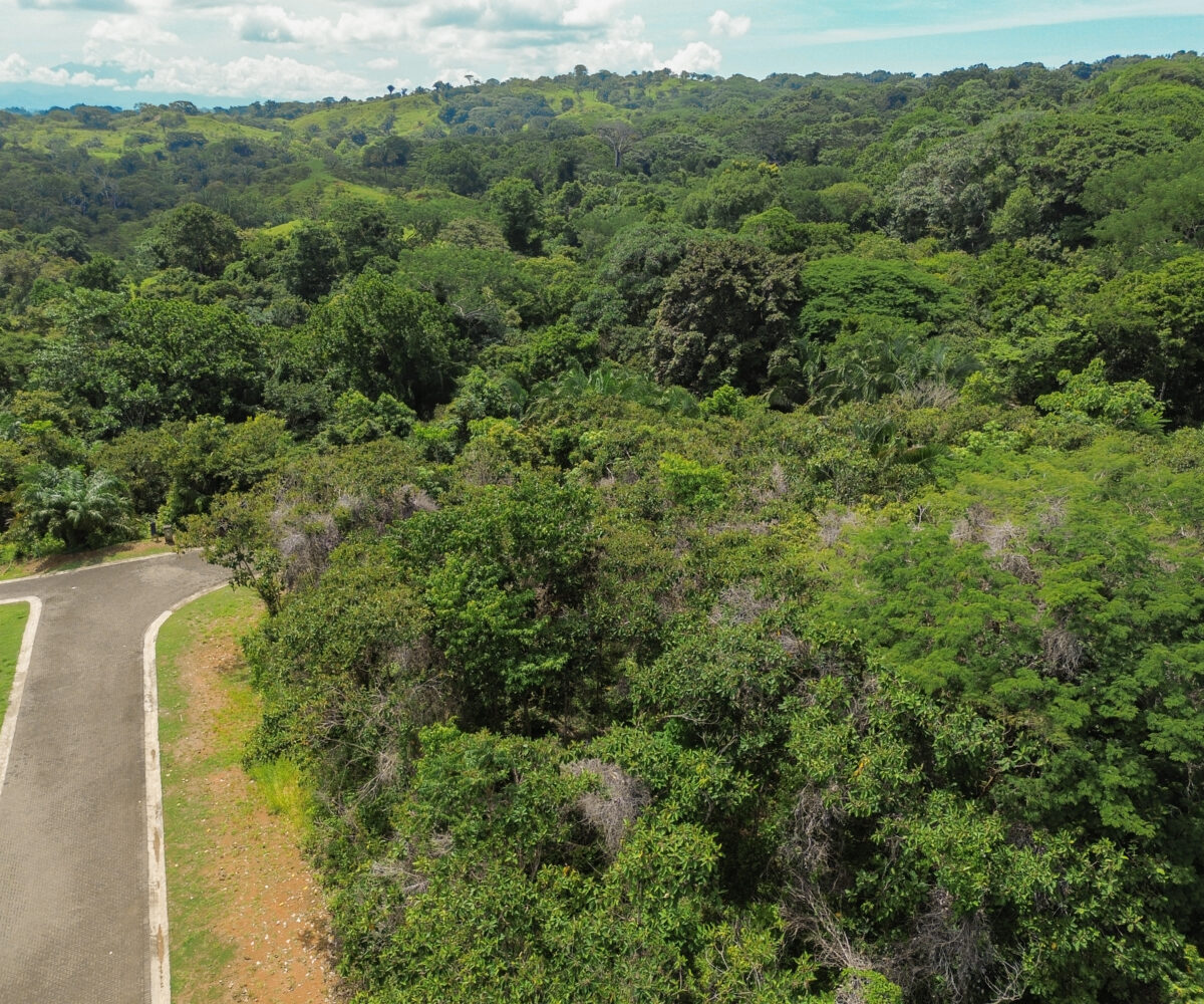 Building Lots for sale in Esterillos Costa Rica