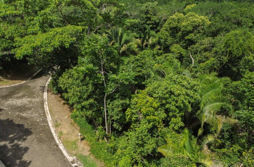 Building Lots for sale in Esterillos Costa Rica