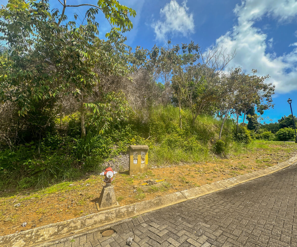 Building Lots for sale in Esterillos Costa Rica