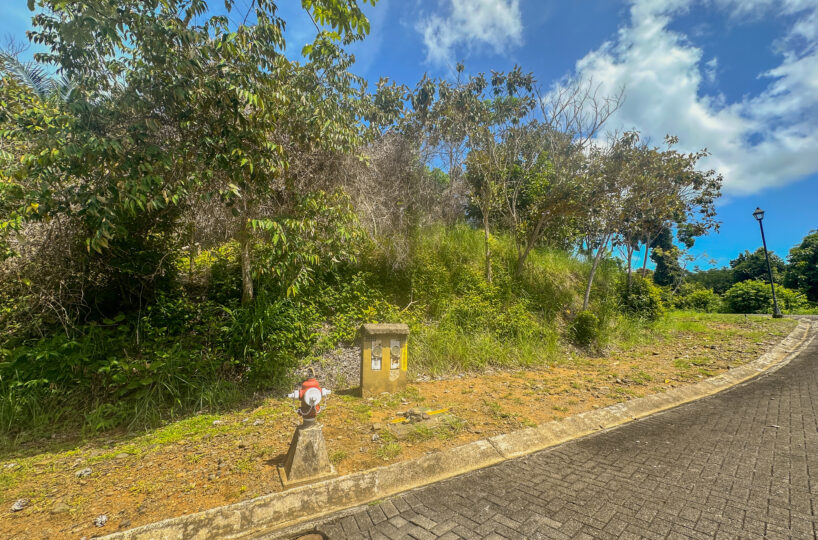 Building Lots for sale in Esterillos Costa Rica