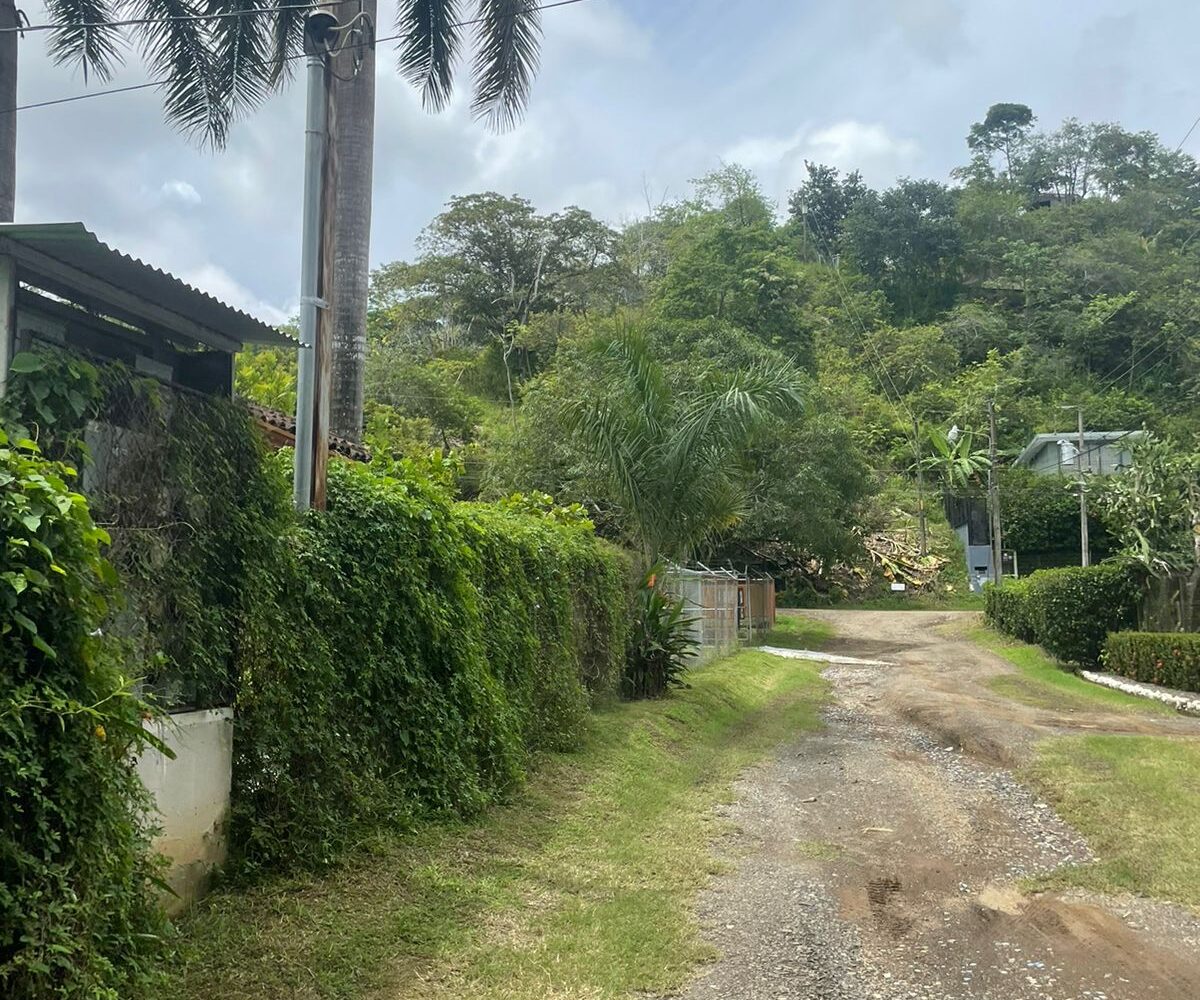 Homes for sale in Hermosa Beach Costa Rica