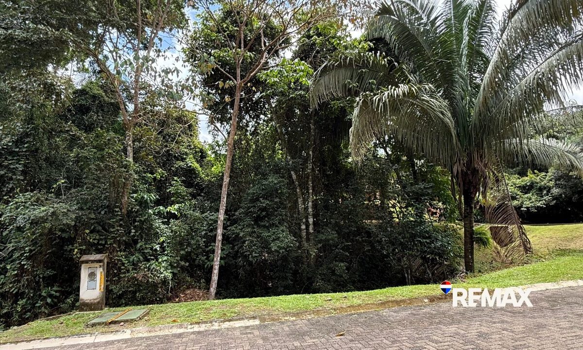 Building Lots for sale in Esterillos Costa Rica