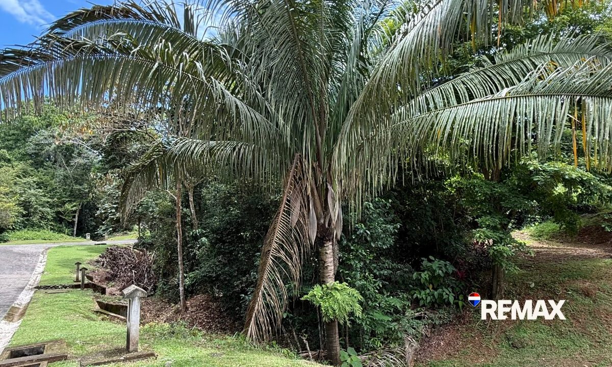 Building Lots for sale in Esterillos Costa Rica