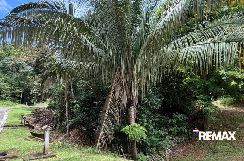 Building Lots for sale in Esterillos Costa Rica