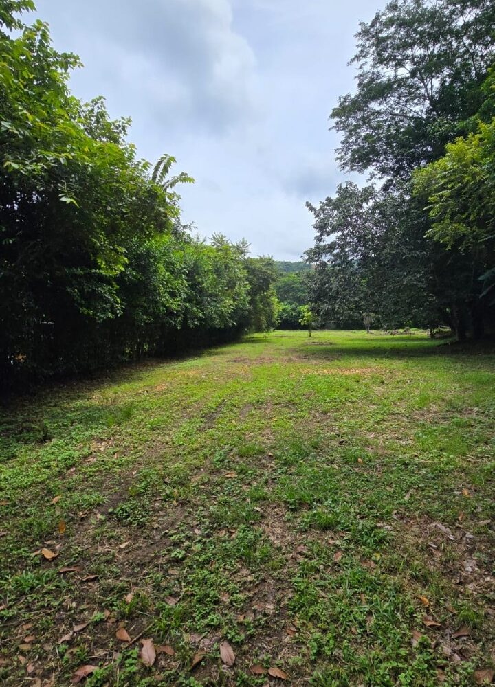 Building Lots for sale in Hermosa Beach Costa Rica