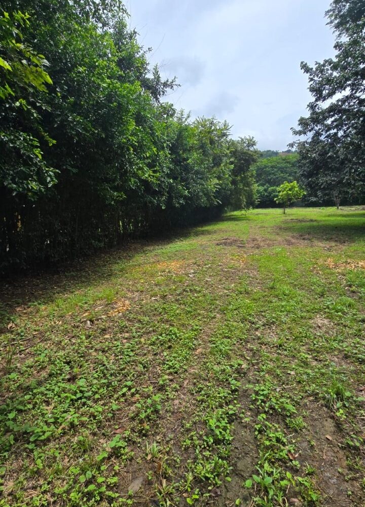 Building Lots for sale in Hermosa Beach Costa Rica
