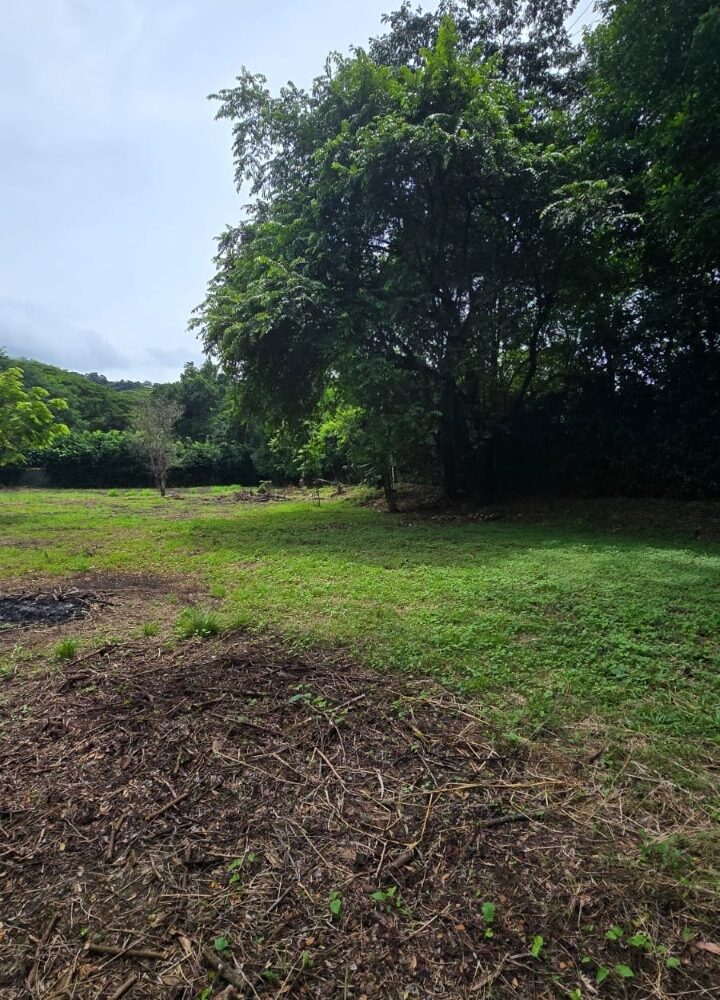 Building Lots for sale in Hermosa Beach Costa Rica