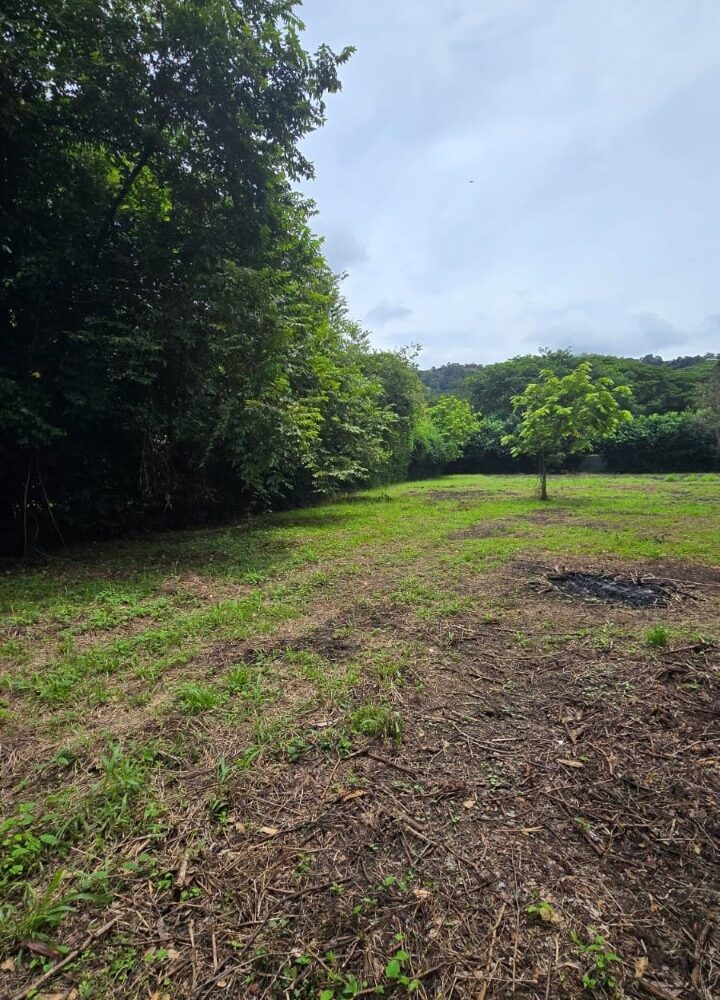 Building Lots for sale in Hermosa Beach Costa Rica