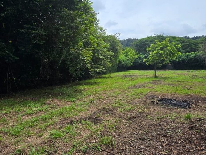 Building Lots for sale in Hermosa Beach Costa Rica