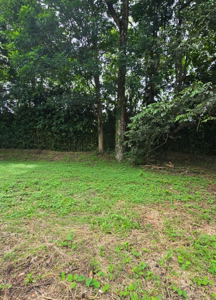 Building Lots for sale in Hermosa Beach Costa Rica