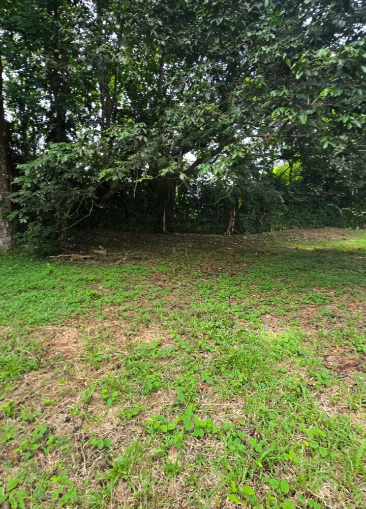 Building Lots for sale in Hermosa Beach Costa Rica