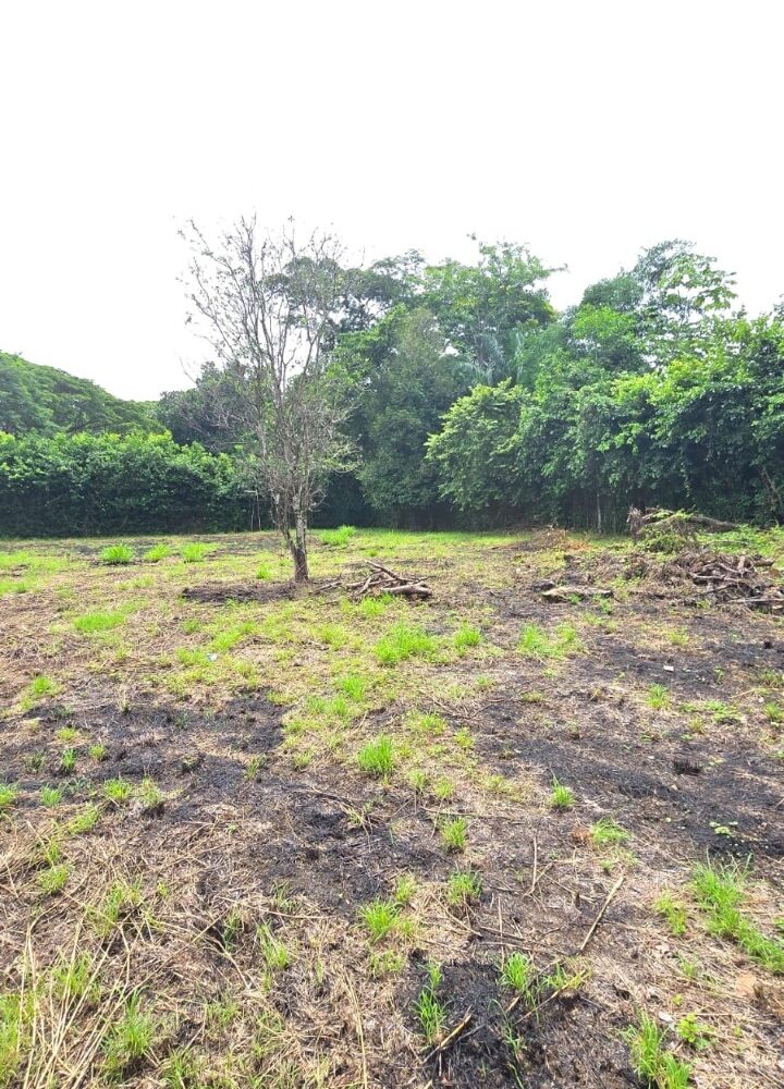 Building Lots for sale in Hermosa Beach Costa Rica