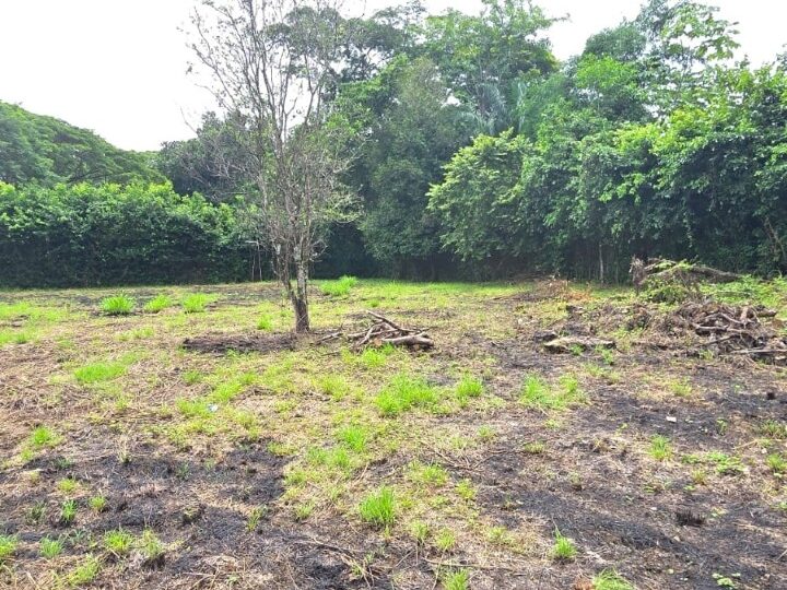 Building Lots for sale in Hermosa Beach Costa Rica