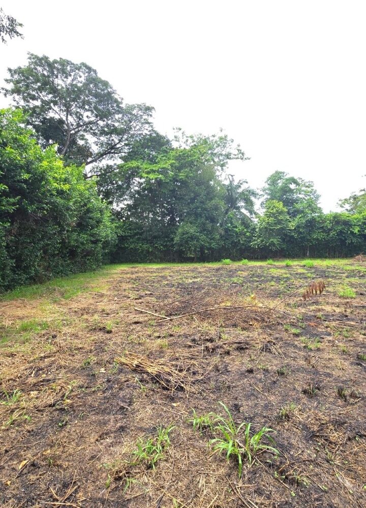 Building Lots for sale in Hermosa Beach Costa Rica