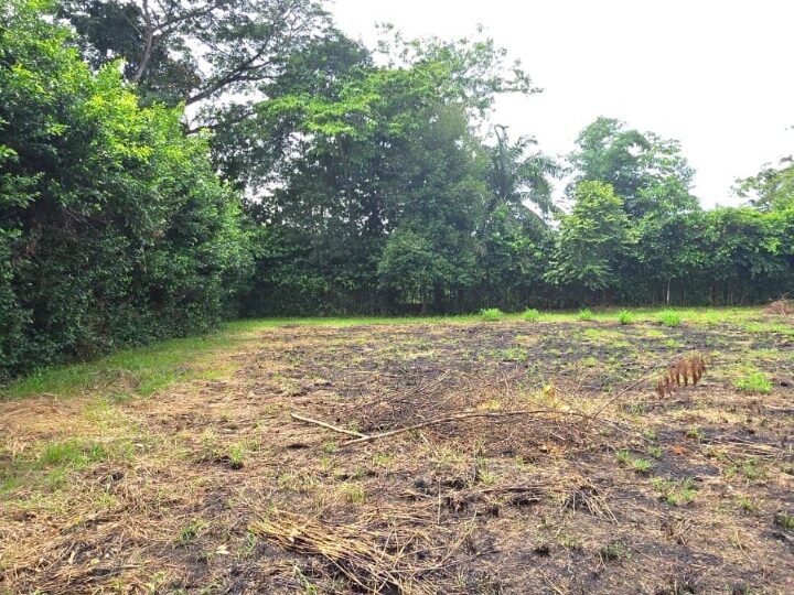 Building Lots for sale in Hermosa Beach Costa Rica