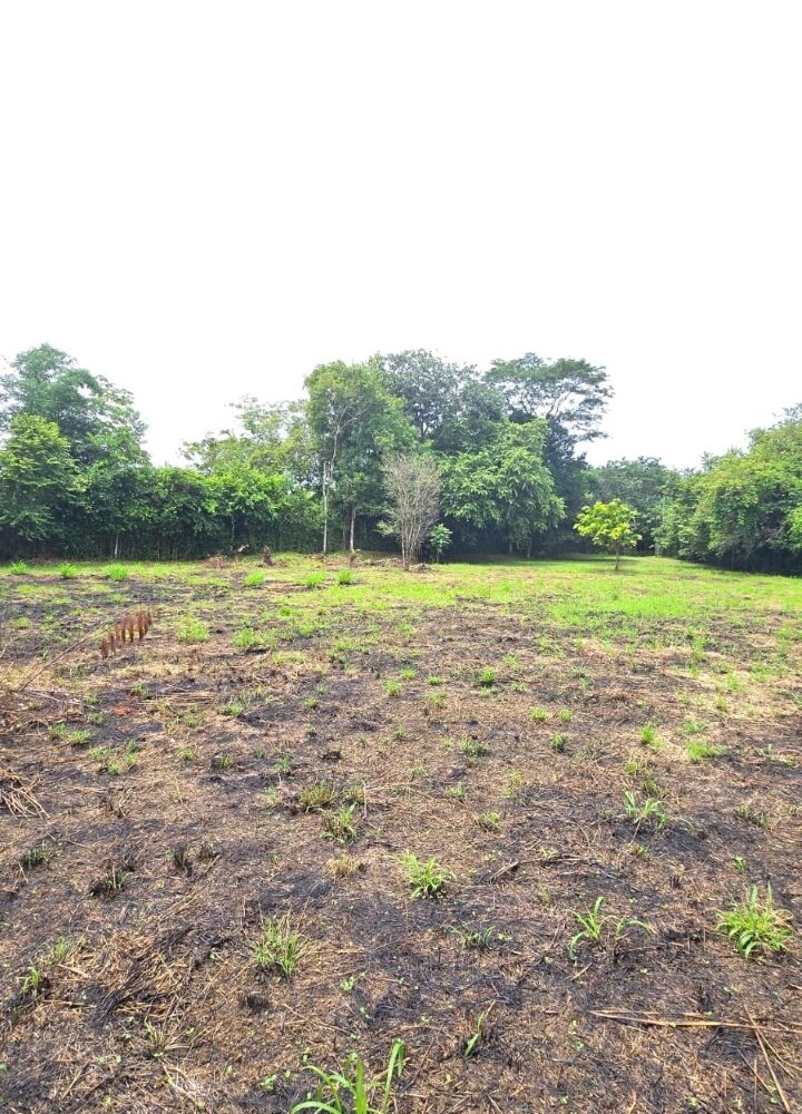 Building Lots for sale in Hermosa Beach Costa Rica