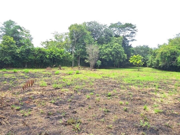 Building Lots for sale in Hermosa Beach Costa Rica