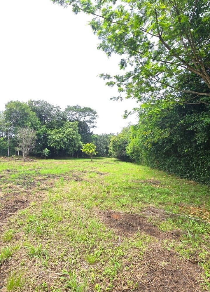 Building Lots for sale in Hermosa Beach Costa Rica