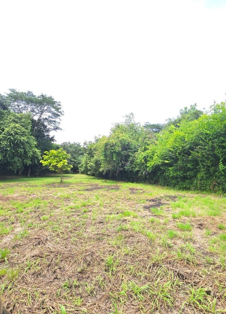 Building Lots for sale in Hermosa Beach Costa Rica