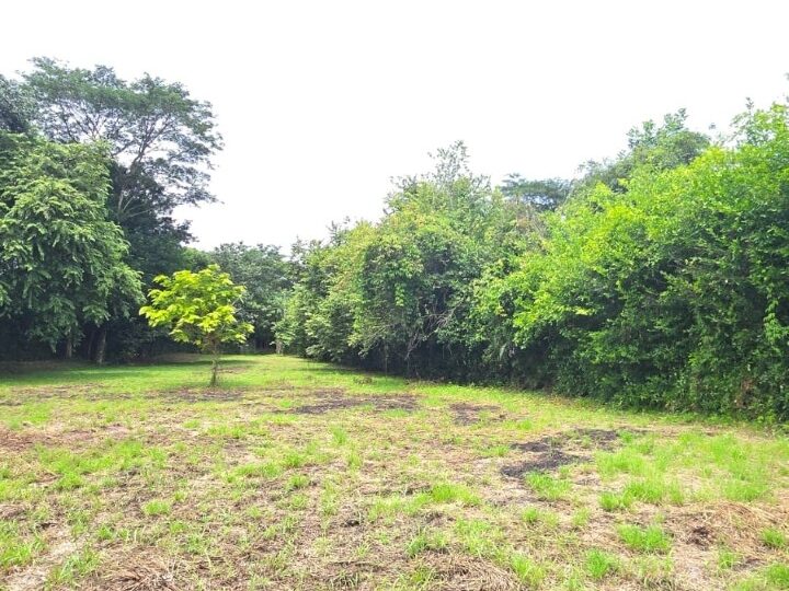 Building Lots for sale in Hermosa Beach Costa Rica