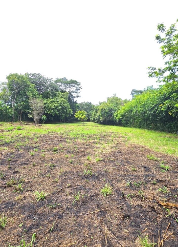 Building Lots for sale in Hermosa Beach Costa Rica