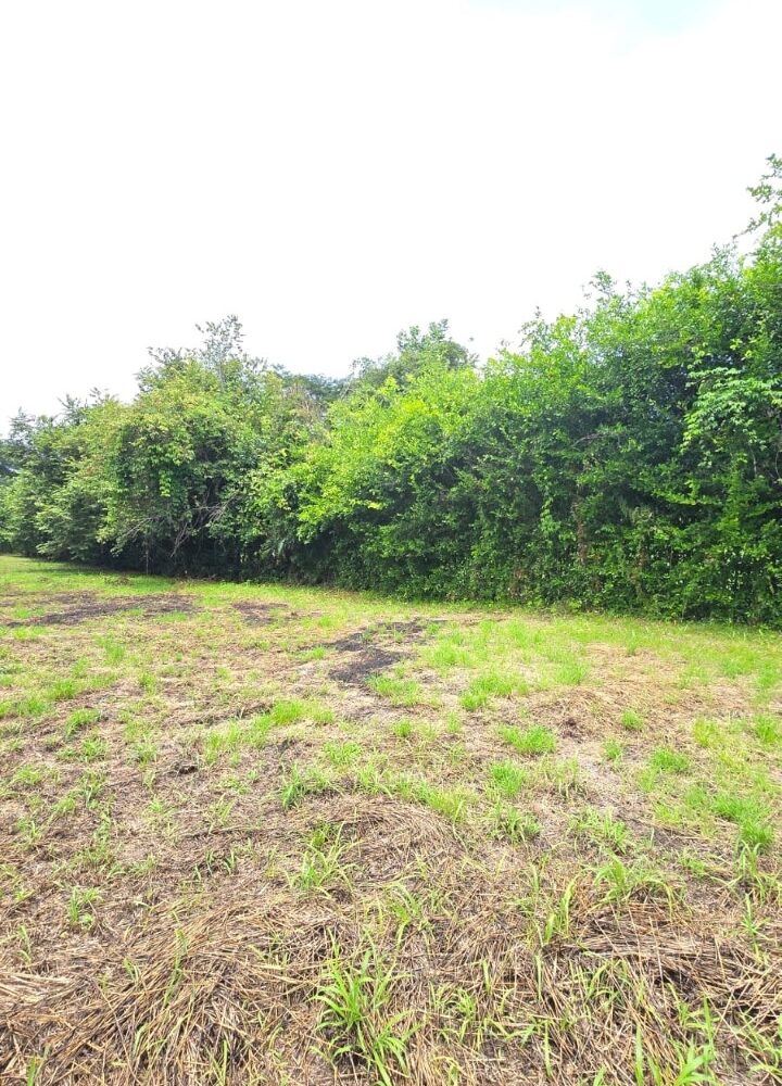 Building Lots for sale in Hermosa Beach Costa Rica