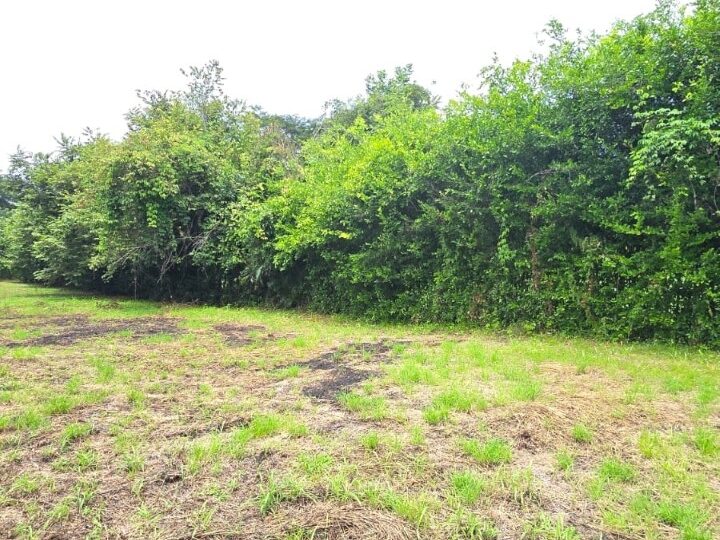 Building Lots for sale in Hermosa Beach Costa Rica